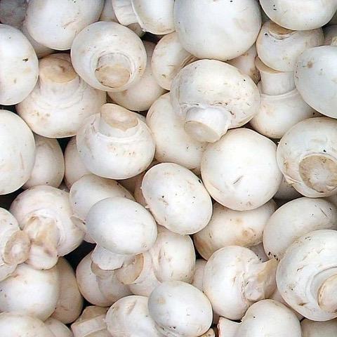 Erros comuns ao preparar cogumelos e como evitá-los - inspiração 1