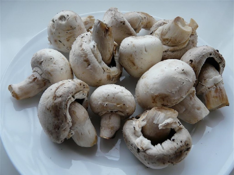 Nutrição concentrada: Vitaminas e minerais essenciais - inspiração 2