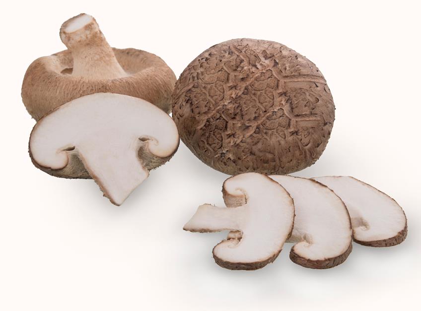 O poder dos cogumelos para a imunidade - inspiração 2