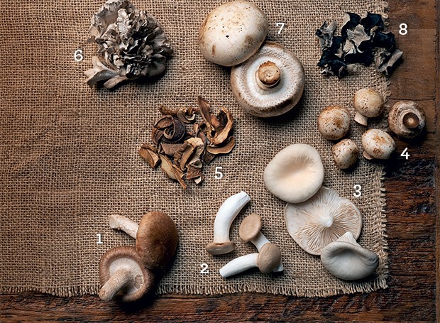 Cogumelos e saúde do coração: Uma dupla imbatível - inspiração 2