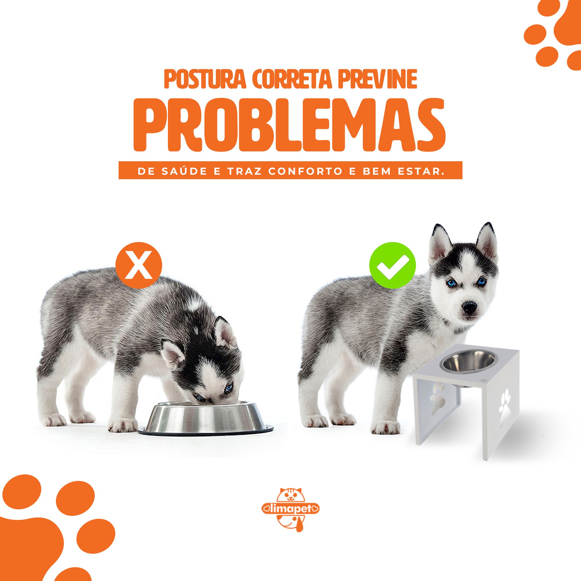 Digestão Aprimorada: Menos Gases e Conforto Pós-Refeição - inspiração 1