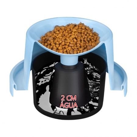 O Impacto na Qualidade de Vida do Seu Companheiro Peludo - inspiração 2