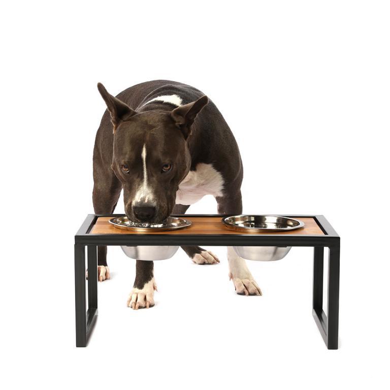 Alívio para as Articulações: Ideal para Pets Idosos ou com Dores - inspiração 1