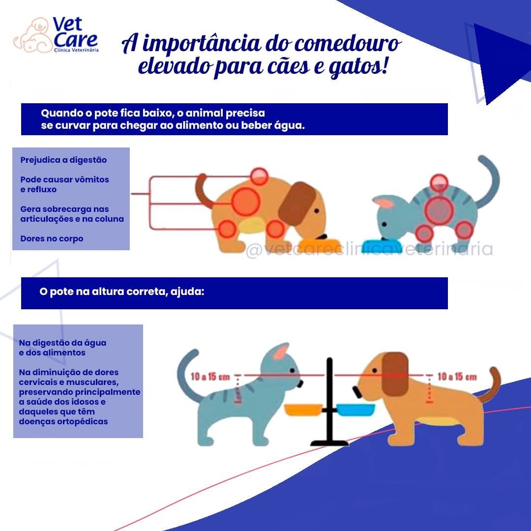 Higiene Reforçada: Um Espaço Mais Limpo para a Alimentação - inspiração 2