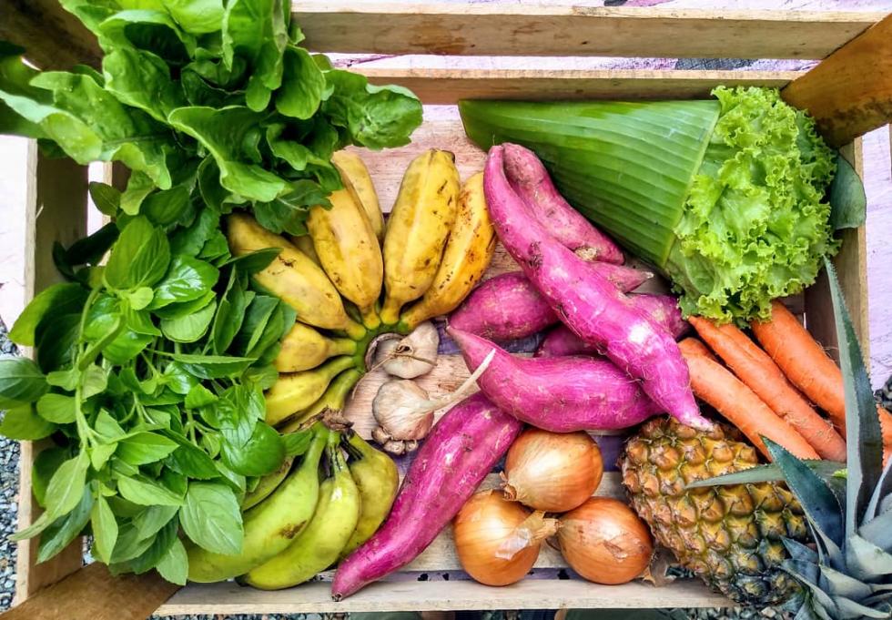 Coma com Atenção Plena: Conecte-se com Seu Alimento - inspiração 2