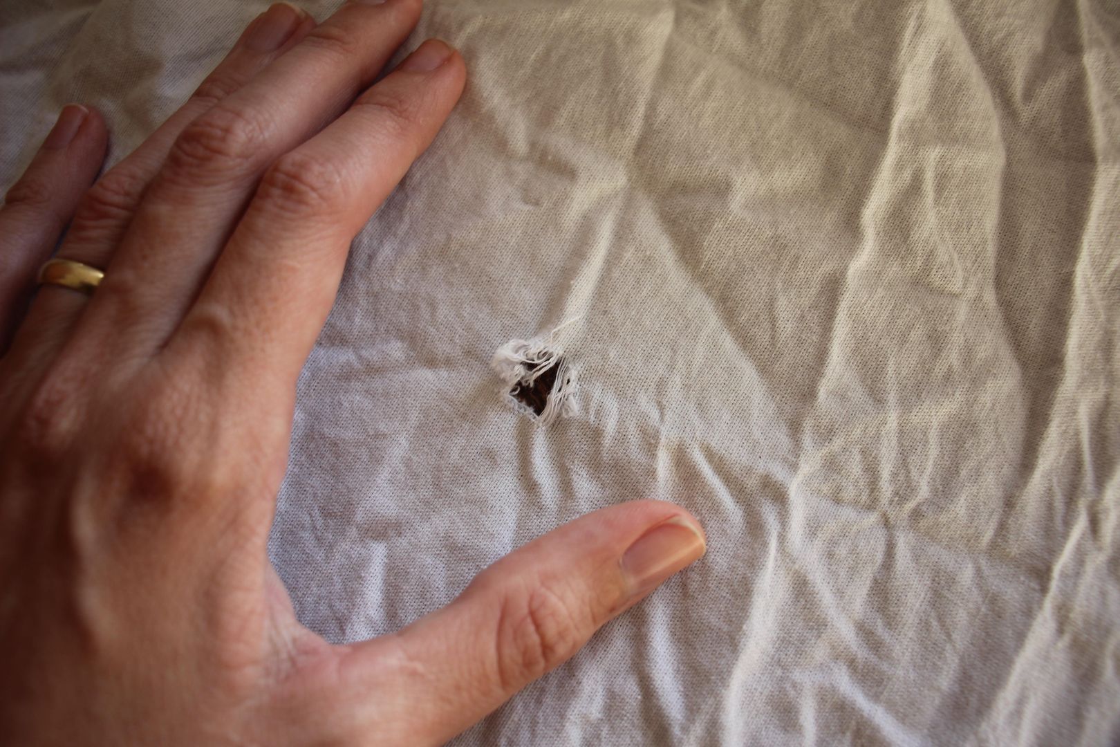 Finalizando e Verificando: A Revisão Final - inspiração 1