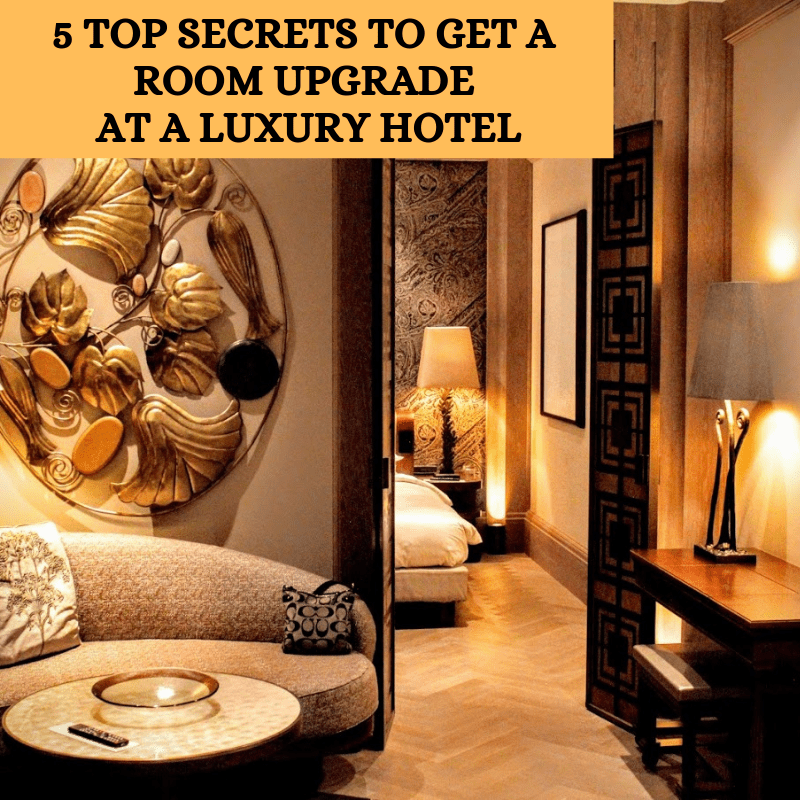 Programas de Fidelidade: Seu Passaporte para Vantagens - inspiração 2