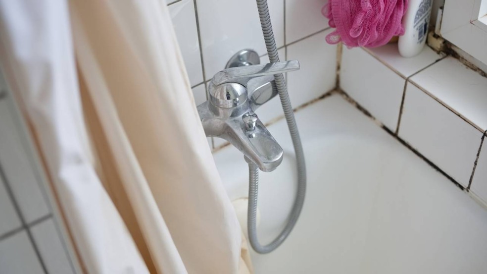 O Que Fazer com Itens Já Atingidos Pelo Mofo - inspiração 2