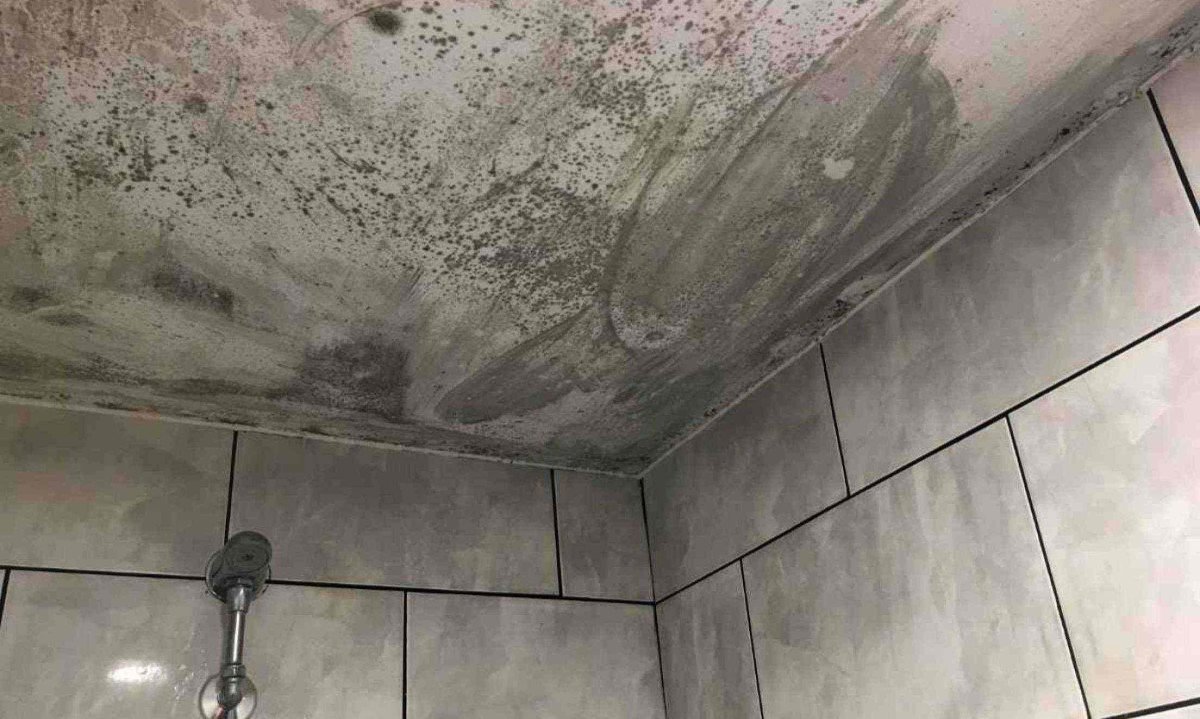 O Poder do Exaustor: Use Sempre Após o Banho - inspiração 2