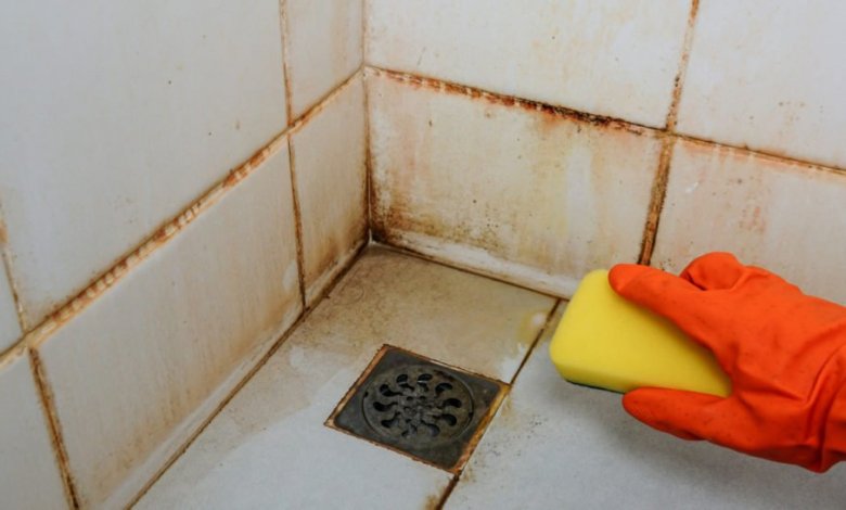 Limpeza Profunda e Regular: Um Hábito que Previne - inspiração 1