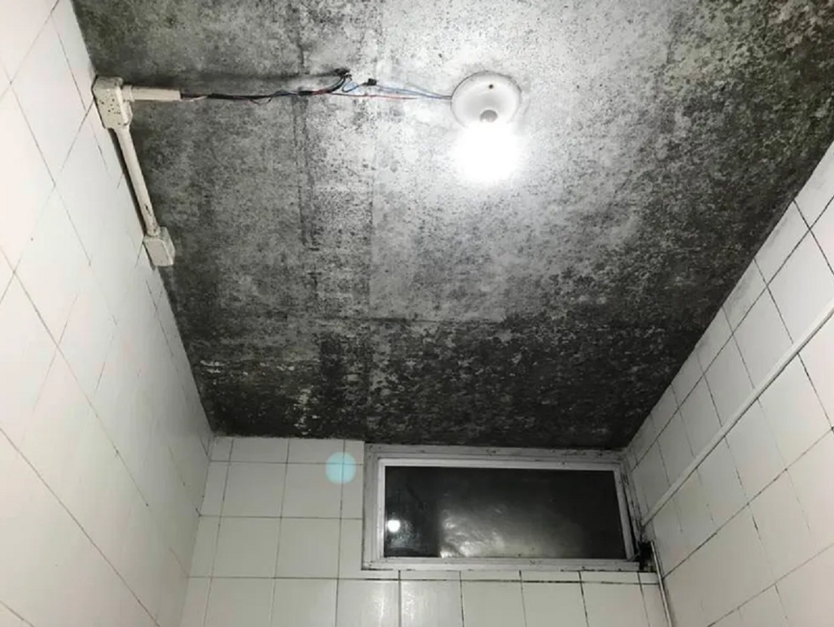 Pequenas Mudanças em Itens de Uso Diário - inspiração 1