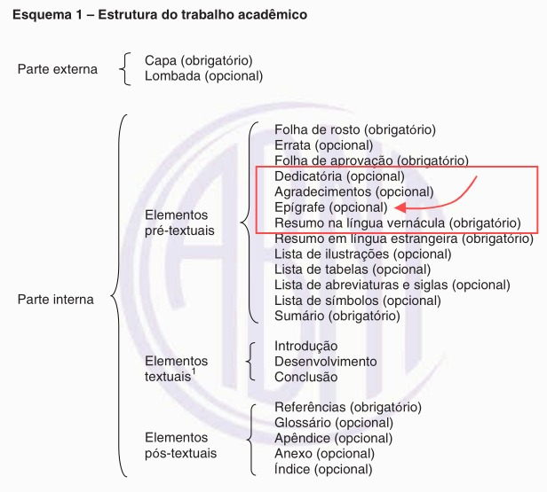 Erros Comuns a Evitar nos Agradecimentos do TCC - inspiração 1