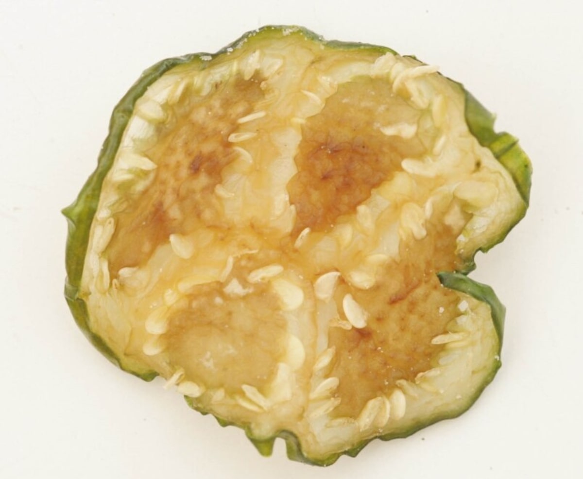 A Arte de Assar: Temperatura e Tempo para Chips Dourados - inspiração 1