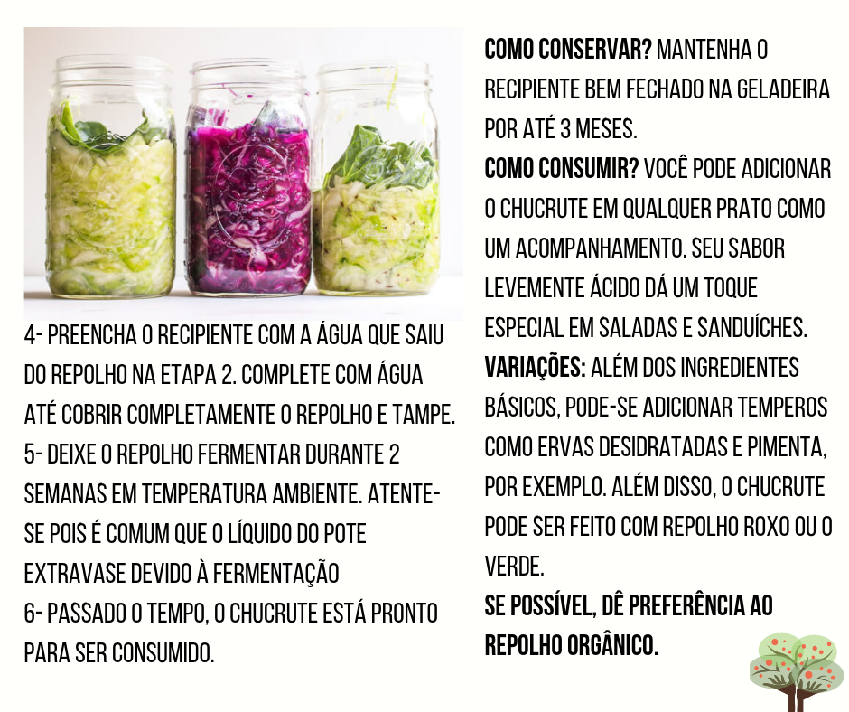 A Arte da Higienização: Limpeza Impecável Para a Fermentação - inspiração 2