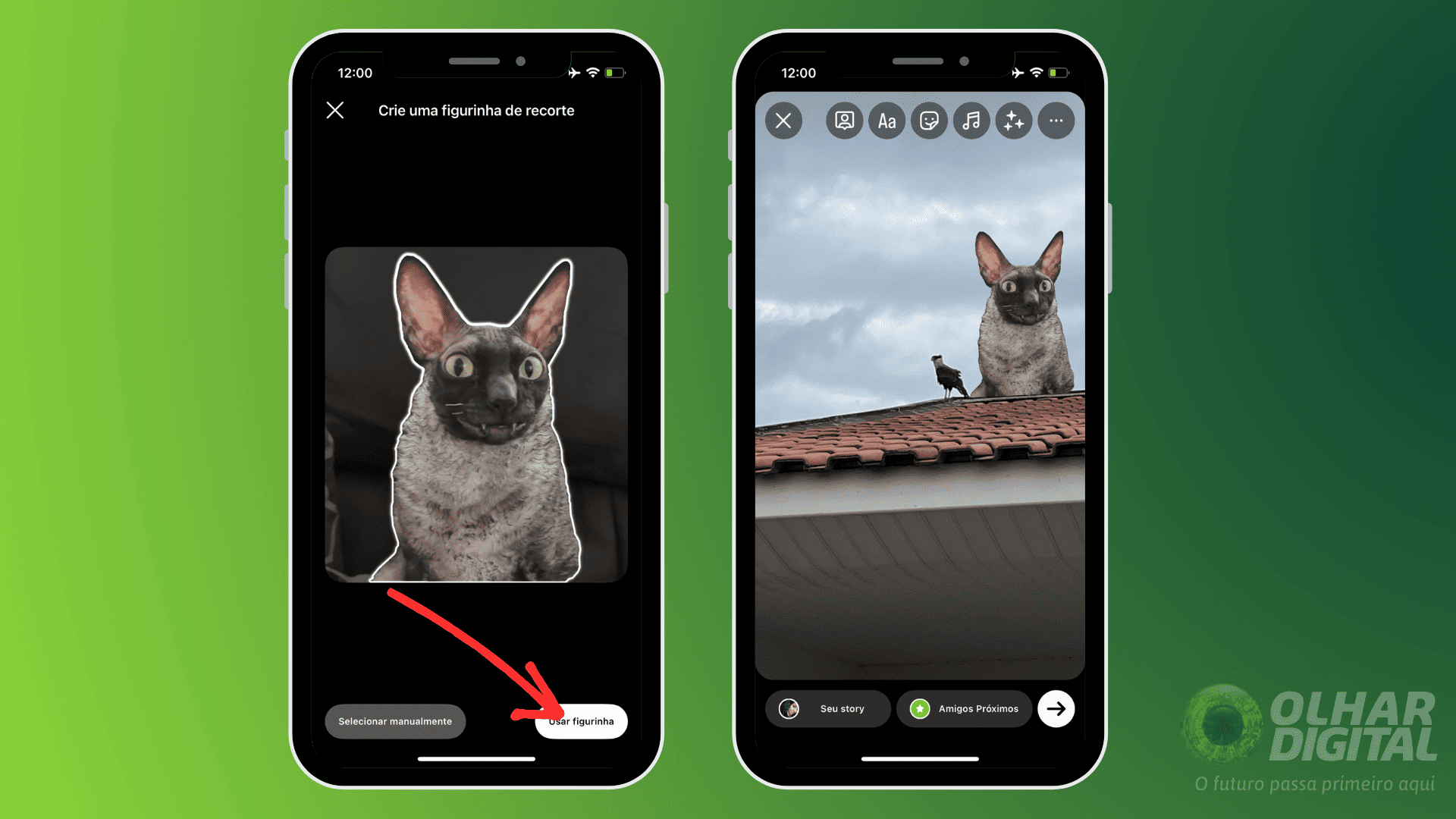 Importando para o WhatsApp (ou outra Plataforma) - inspiração 1