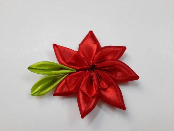 Cuidados Essenciais para Manter Suas Flores Impecáveis - inspiração 2