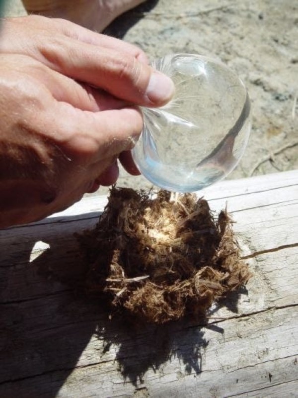 O Algodão Carbonizado: Um Combustível Inesperado - inspiração 2