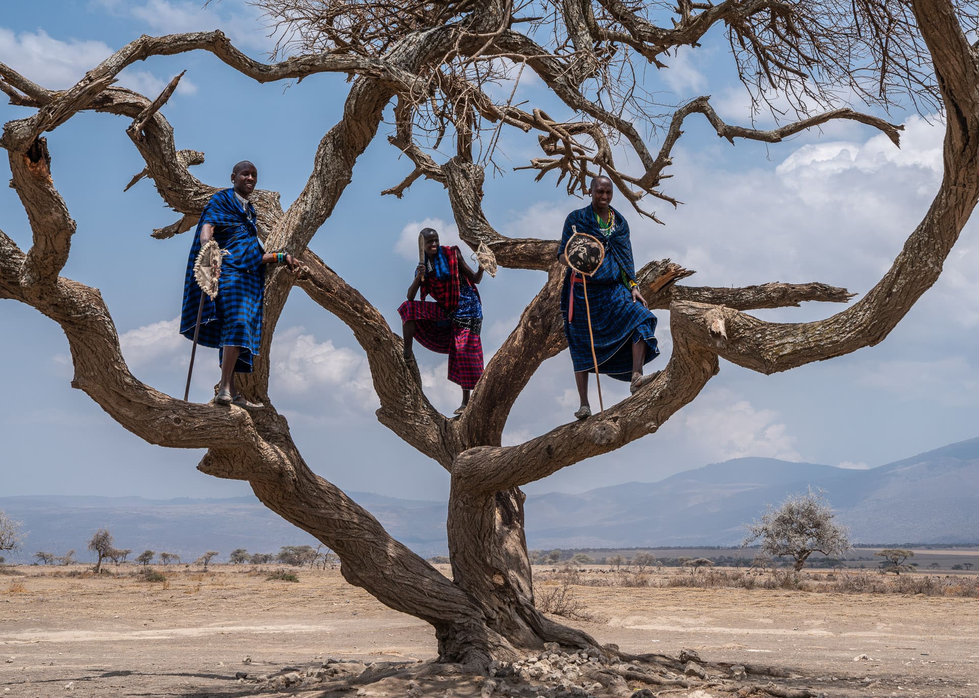 Pós-Produção Inteligente: Refinando Suas Imagens com Toque Profissional - inspiração 1