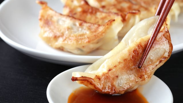 Temperos Secretos Que Elevam o Sabor do Seu Guioza - inspiração 1