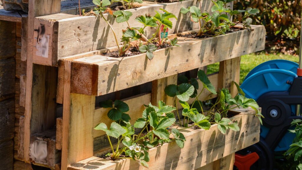 Preparando o Palete: Limpeza e Tratamento para Durabilidade - inspiração 2