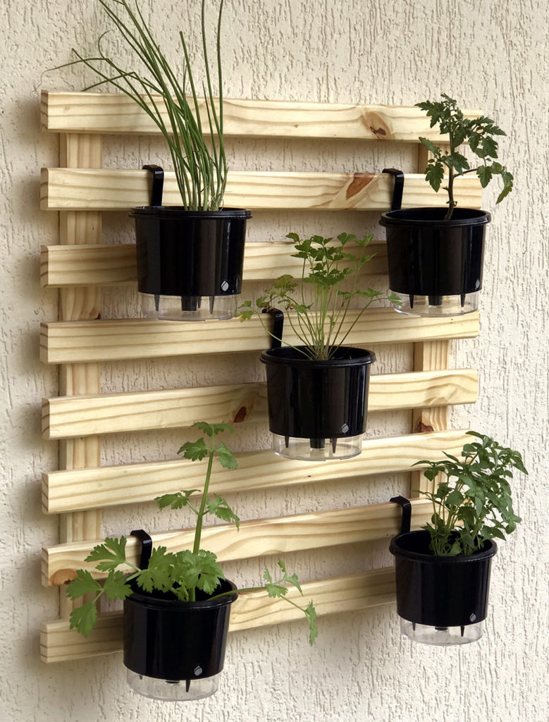 Seleção de Plantas: O Que Cultivar em Sua Horta Vertical? - inspiração 1