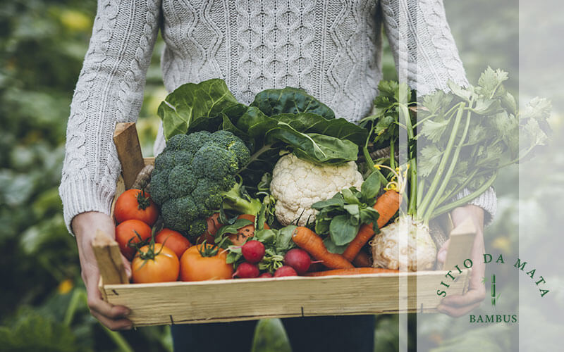 Rotação de culturas: Mantendo o solo fértil e prevenindo doenças. - inspiração 2