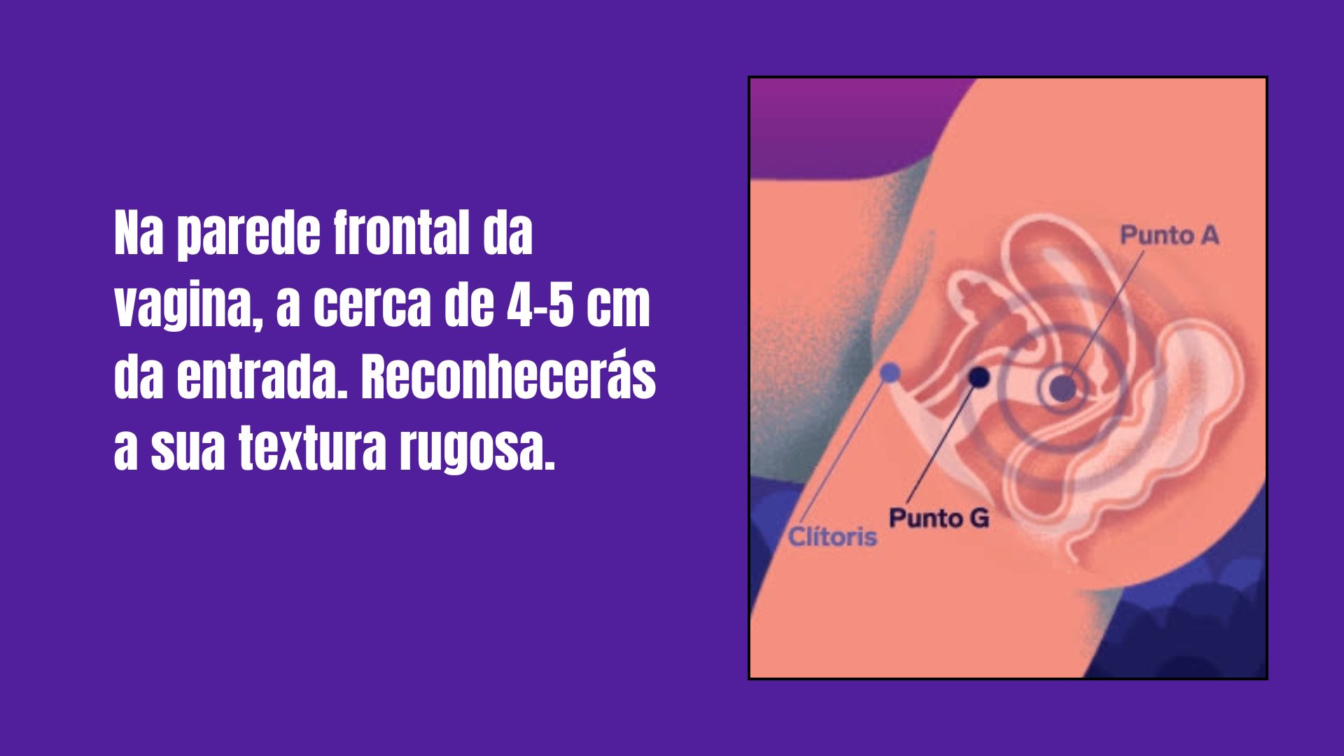 A Linguagem Corporal: Como Comunicar o Que Você Quer - inspiração 2
