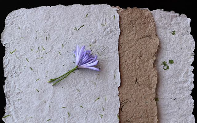 A Mágica da Tela: Como Espalhar e Dar Forma ao Seu Papel - inspiração 1