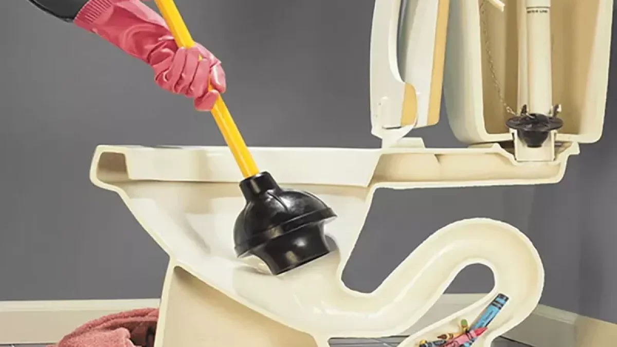 Cuidados Essenciais Após o Desentupimento - inspiração 2