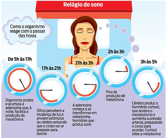 Alimentação Inteligente: Combustível de Qualidade para Sua Energia - inspiração 1