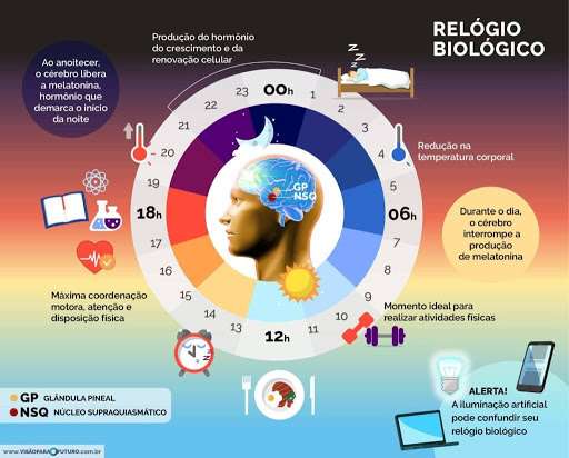 Alimentação Inteligente: Combustível de Qualidade para Sua Energia - inspiração 2