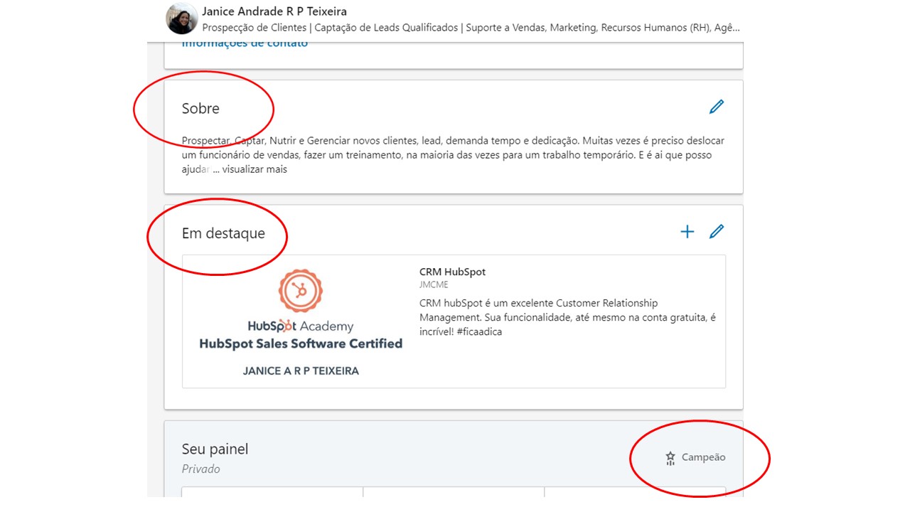 Resumo (Sobre): A Narrativa da Sua Carreira - inspiração 2