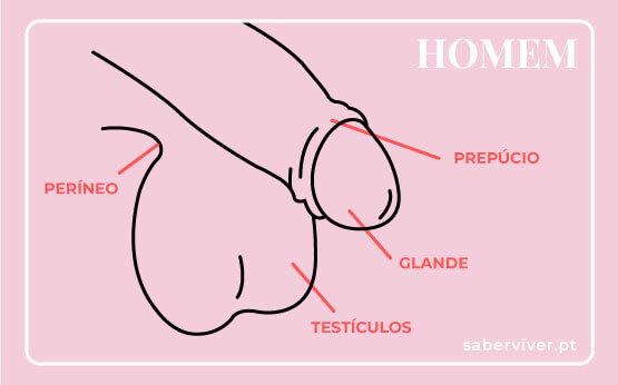 Explorando a Anatomia: Conhecendo as Zonas Erógenas Dela - inspiração 2