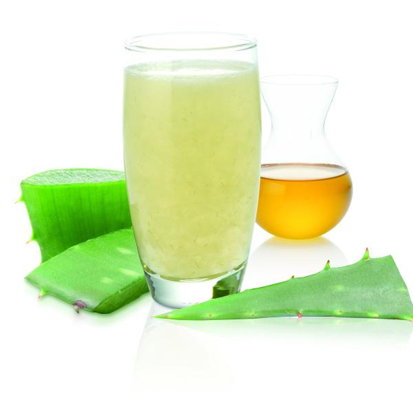 Escolhendo a Babosa Certa: O Primeiro Passo para o Sucesso - inspiração 2