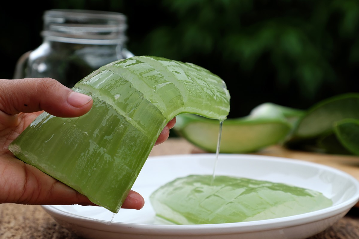 Colheita Consciente: O Momento Ideal para Pegar as Folhas - inspiração 1