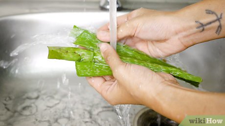 Extração da Gelatina: Um Processo Delicado e Essencial - inspiração 2