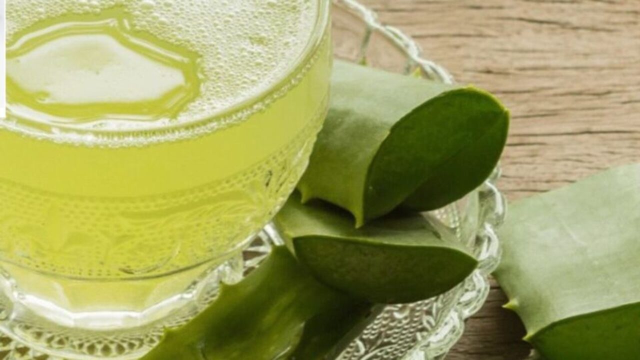 Como Beber o Suco de Babosa: Dicas de Consumo Otimizado - inspiração 2