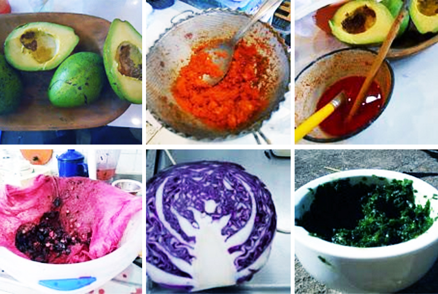 A Importância da Conservação das Tintas Caseiras - inspiração 2