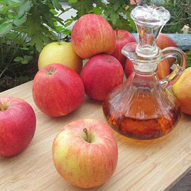 Evitando Mofo e Contaminação: Dicas de Higiene - inspiração 1