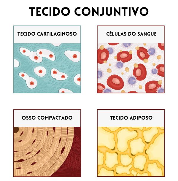 As Fibras Sintéticas: Durabilidade e Versatilidade (Poliéster, Poliamida, Elastano) - inspiração 1