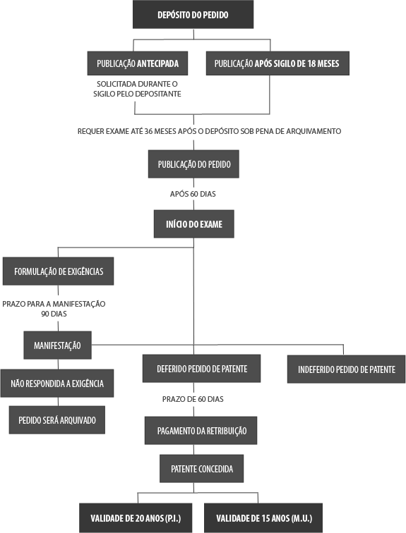 O INPI: sua porta de entrada oficial para a proteção. - inspiração 2