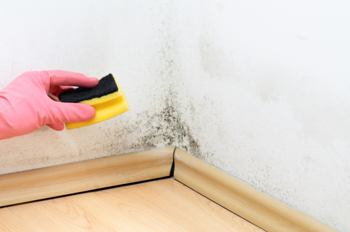 Passo a Passo da Ação: Começando pela Segurança - inspiração 1