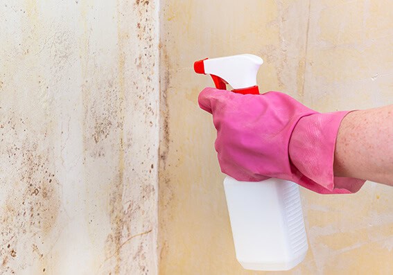 Água Sanitária: O Aliado na Desinfecção Profunda - inspiração 2