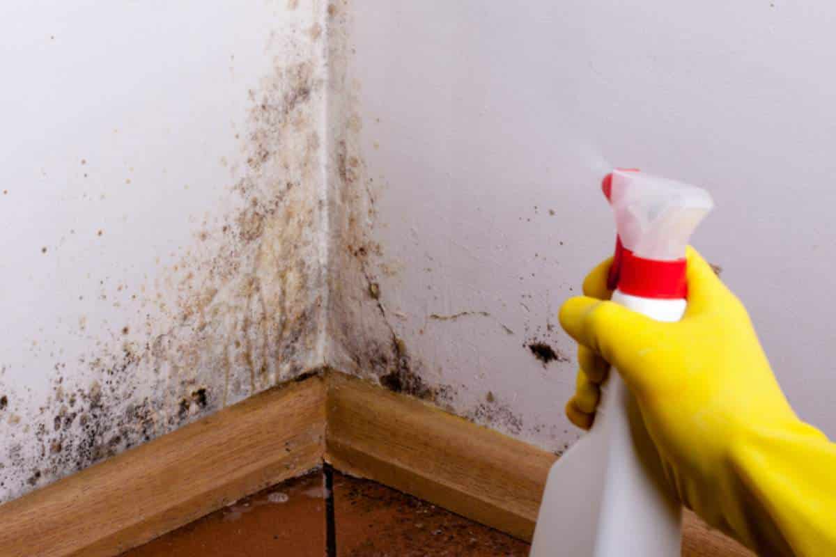 Peróxido de Hidrogênio: Uma Alternativa Suave e Eficaz - inspiração 1