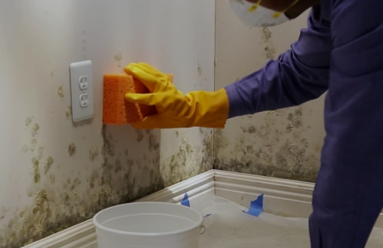 Quando Chamar Reforços: Situações que Pedem Ajuda Profissional - inspiração 2