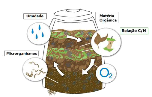 O Segredo da Umidade: Como Manter o Ponto Certo Sem Exageros. - inspiração 1