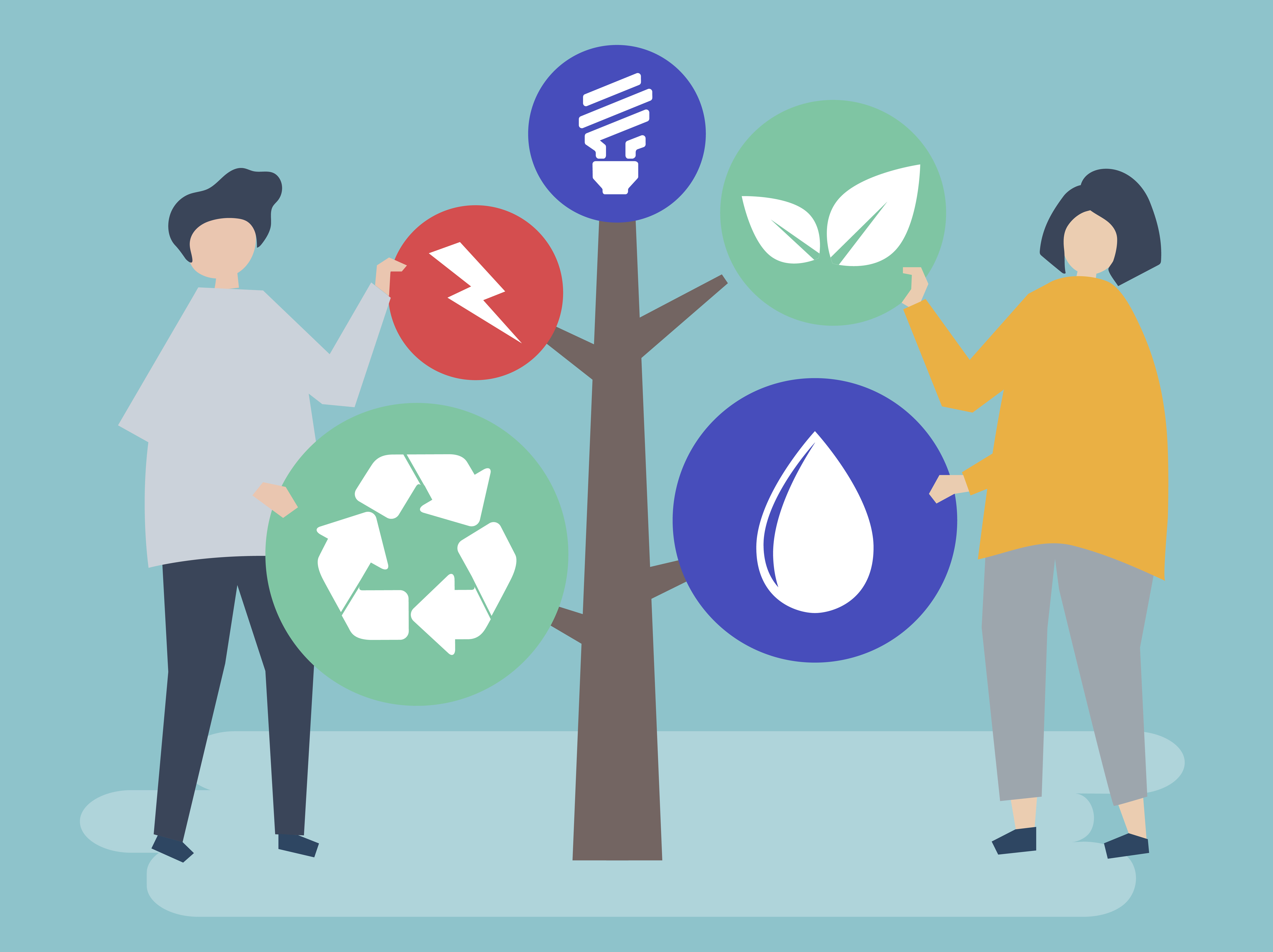 Eduque-se continuamente sobre práticas de consumo mais éticas - inspiração 1