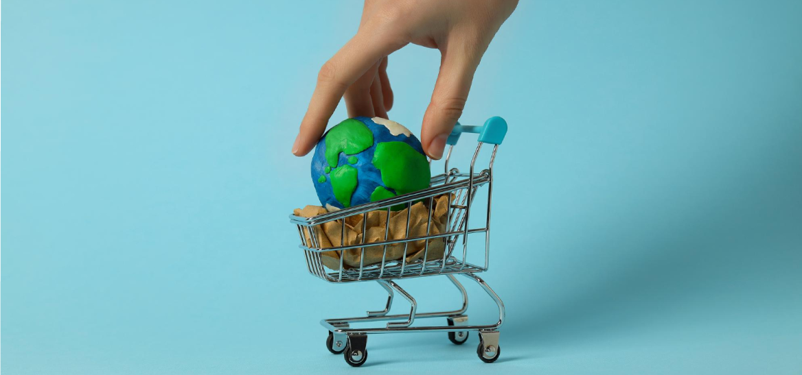 Pesquise a origem e o impacto dos produtos que você usa - inspiração 1