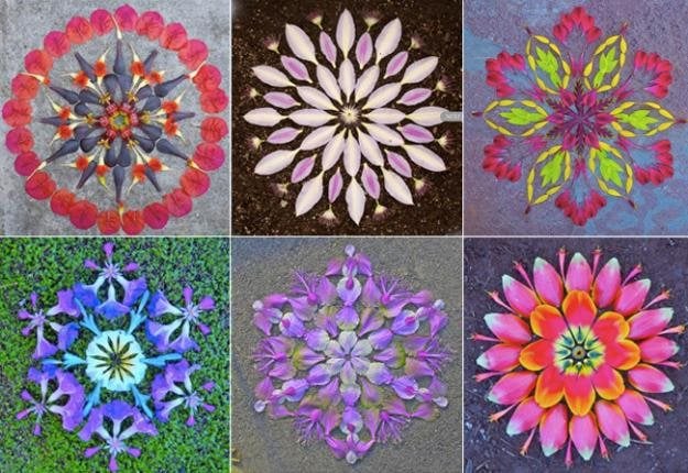 Refinando as Linhas e Suavizando as Transições - inspiração 1