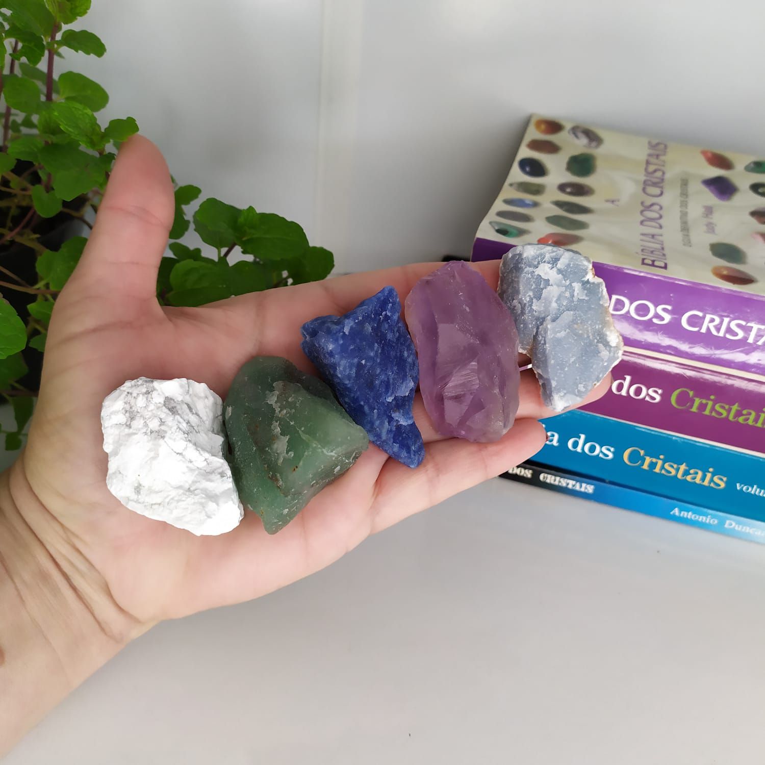 Selenita: A Luz Suave para Noites Tranquilas - inspiração 1